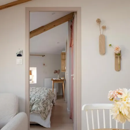 La Vaporeuse - Un Ecrin Dans Le Centre Historique Appartement